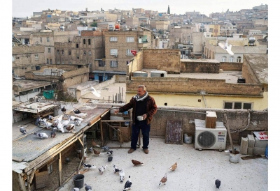 The hidden world of Turkey's prize pigeons